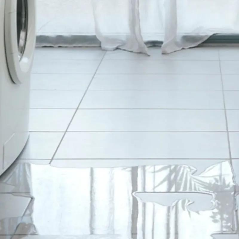 Appliance Leak Cleanup in Clinton, SC
